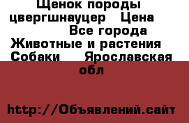 Щенок породы  цвергшнауцер › Цена ­ 30 000 - Все города Животные и растения » Собаки   . Ярославская обл.